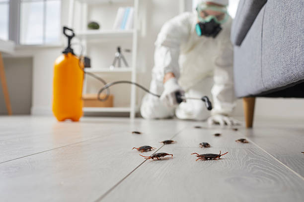 Commercial Kitchen Cockroach Control in Elizabeth